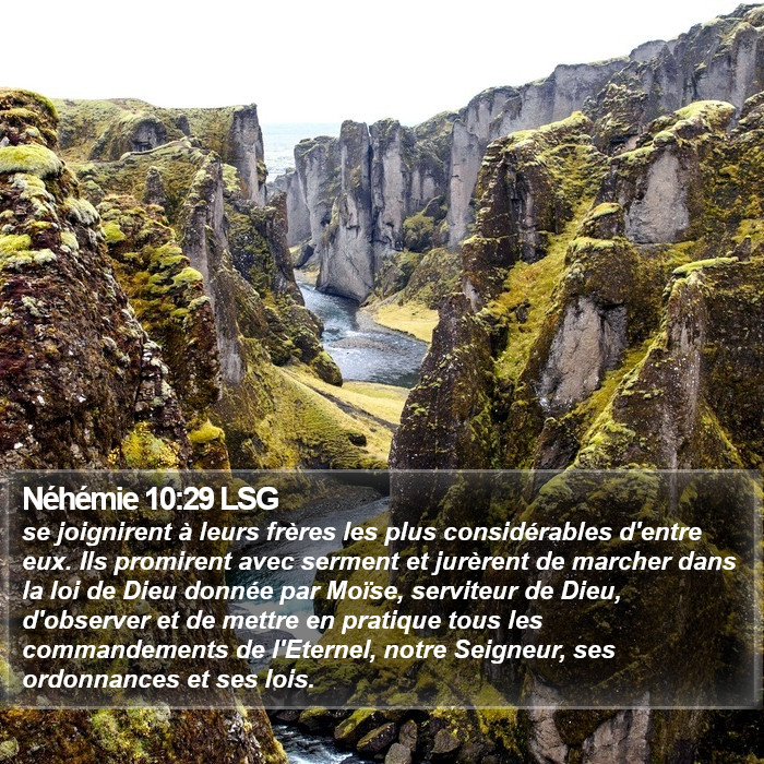 Néhémie 10:29 LSG Bible Study