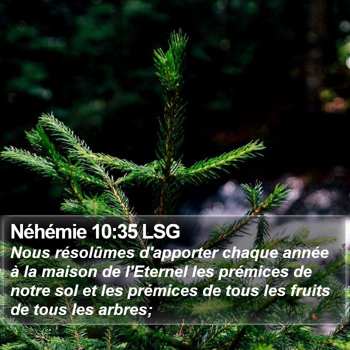 Néhémie 10:35 LSG Bible Study
