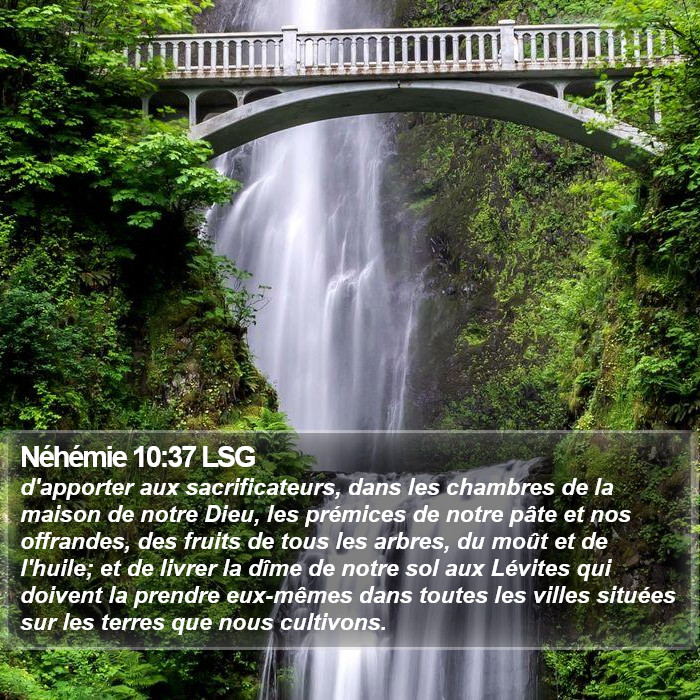 Néhémie 10:37 LSG Bible Study