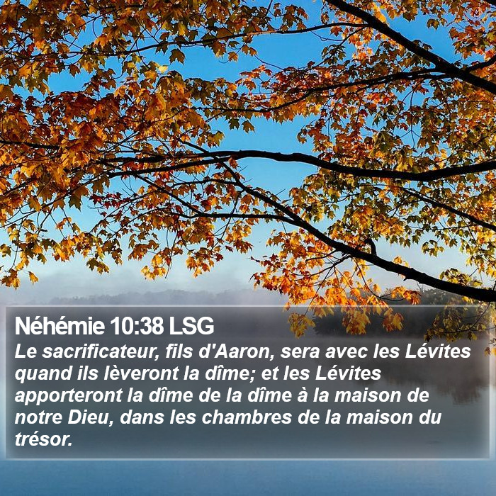 Néhémie 10:38 LSG Bible Study
