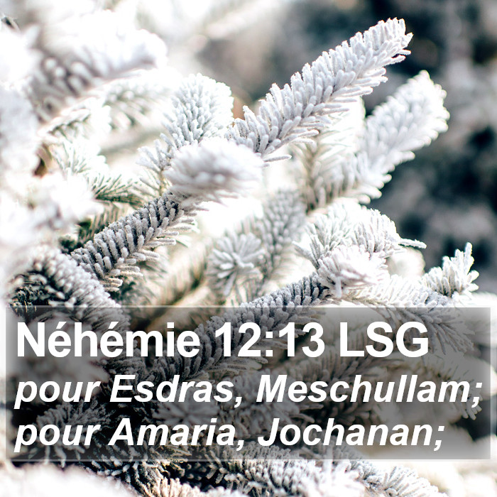 Néhémie 12:13 LSG Bible Study