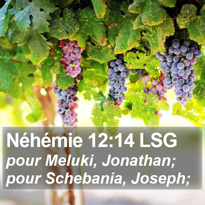 Néhémie 12:14 LSG Bible Study