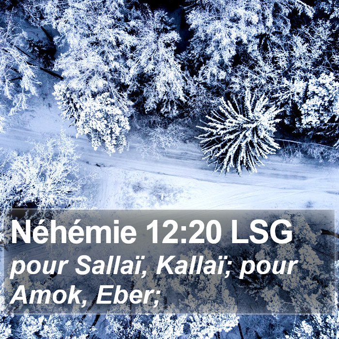 Néhémie 12:20 LSG Bible Study
