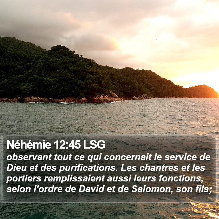 Néhémie 12:45 LSG Bible Study