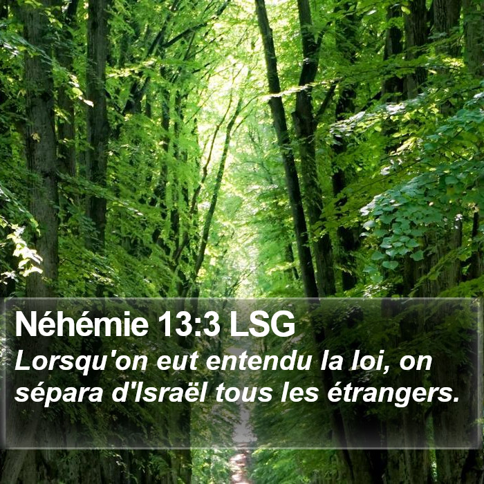 Néhémie 13:3 LSG Bible Study