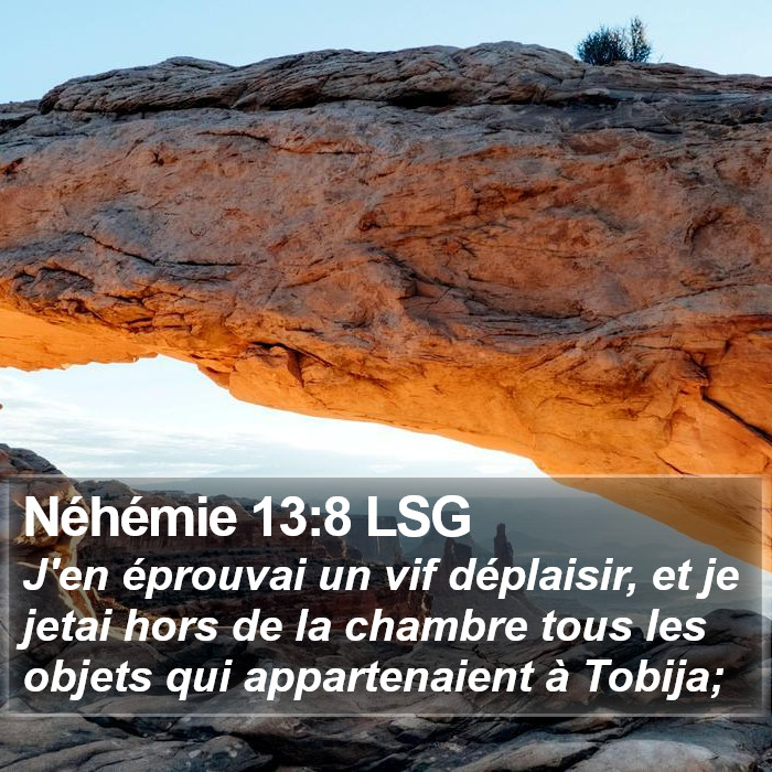 Néhémie 13:8 LSG Bible Study