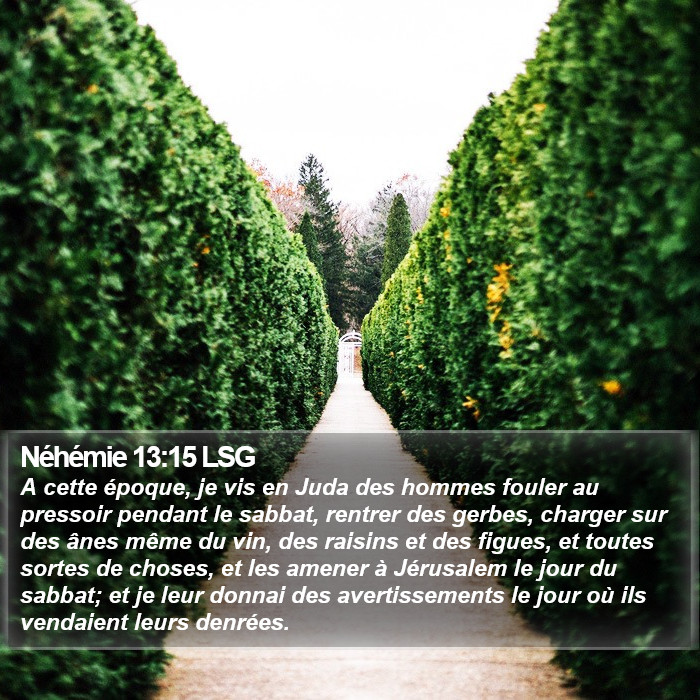 Néhémie 13:15 LSG Bible Study