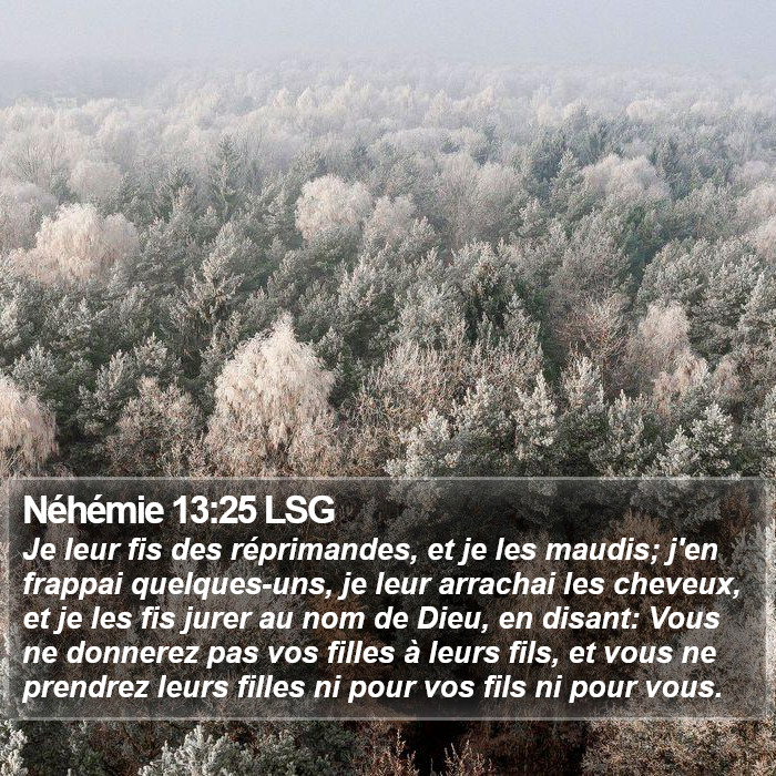 Néhémie 13:25 LSG Bible Study