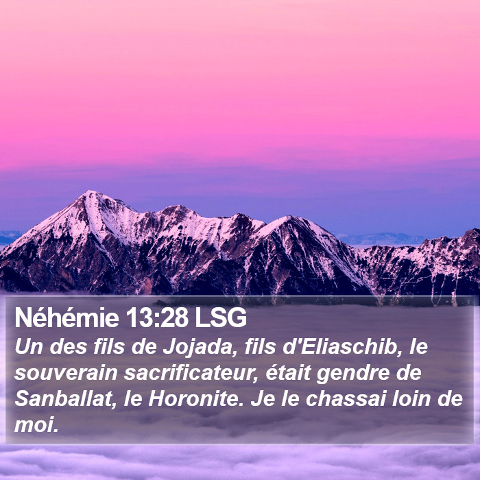 Néhémie 13:28 LSG Bible Study