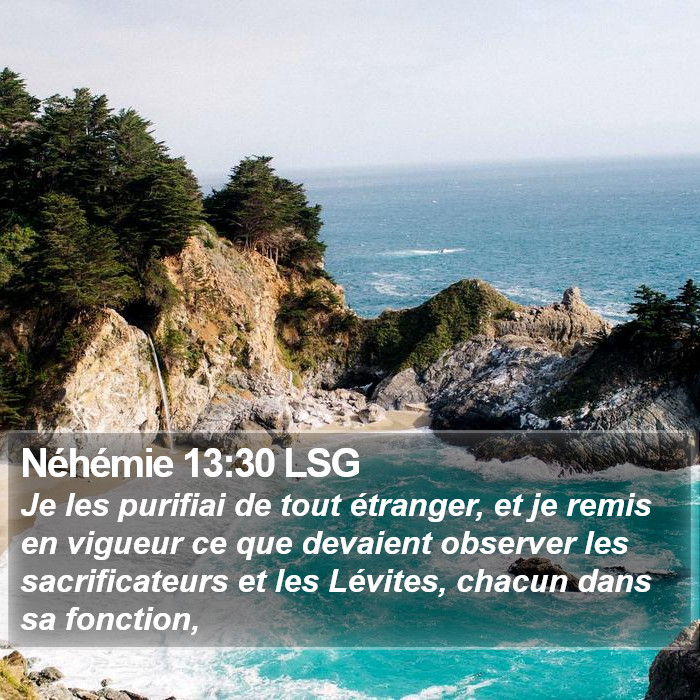 Néhémie 13:30 LSG Bible Study