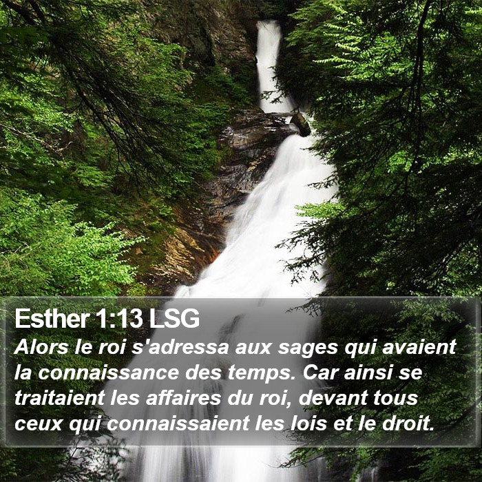 Esther 1:13 LSG Bible Study