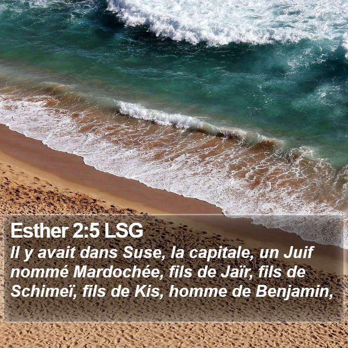 Esther 2:5 LSG Bible Study