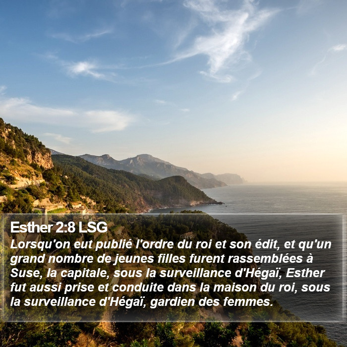 Esther 2:8 LSG Bible Study