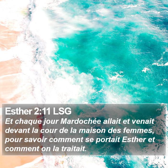Esther 2:11 LSG Bible Study