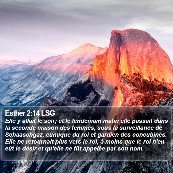 Esther 2:14 LSG Bible Study