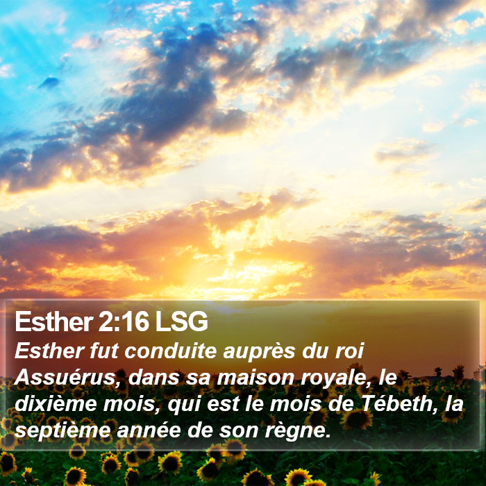 Esther 2:16 LSG Bible Study