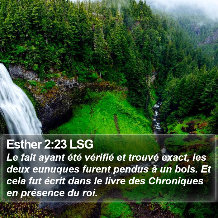 Esther 2:23 LSG Bible Study