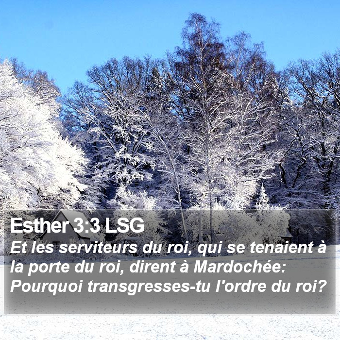 Esther 3:3 LSG Bible Study