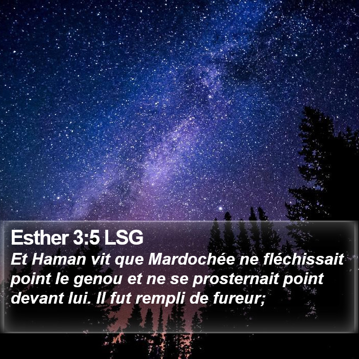 Esther 3:5 LSG Bible Study