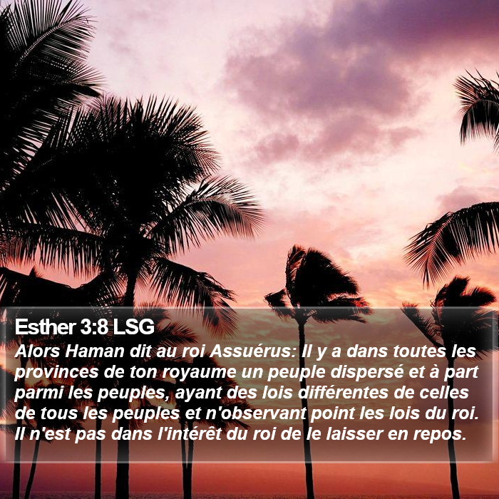 Esther 3:8 LSG Bible Study