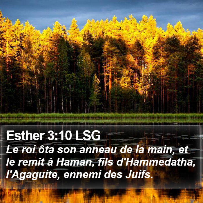 Esther 3:10 LSG Bible Study