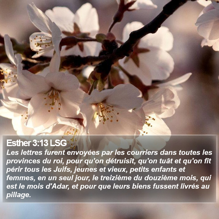 Esther 3:13 LSG Bible Study