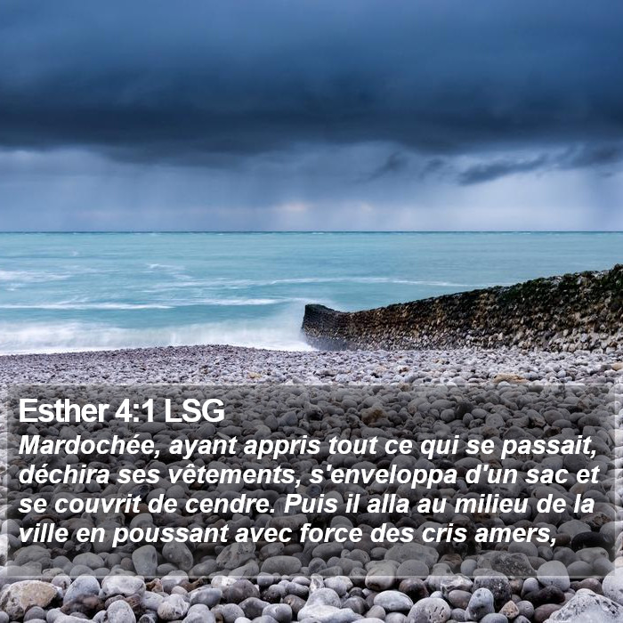 Esther 4:1 LSG Bible Study