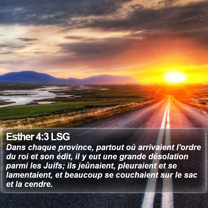 Esther 4:3 LSG Bible Study