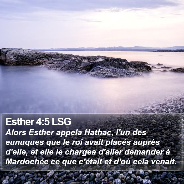 Esther 4:5 LSG Bible Study