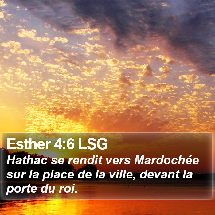 Esther 4:6 LSG Bible Study