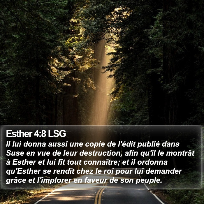 Esther 4:8 LSG Bible Study