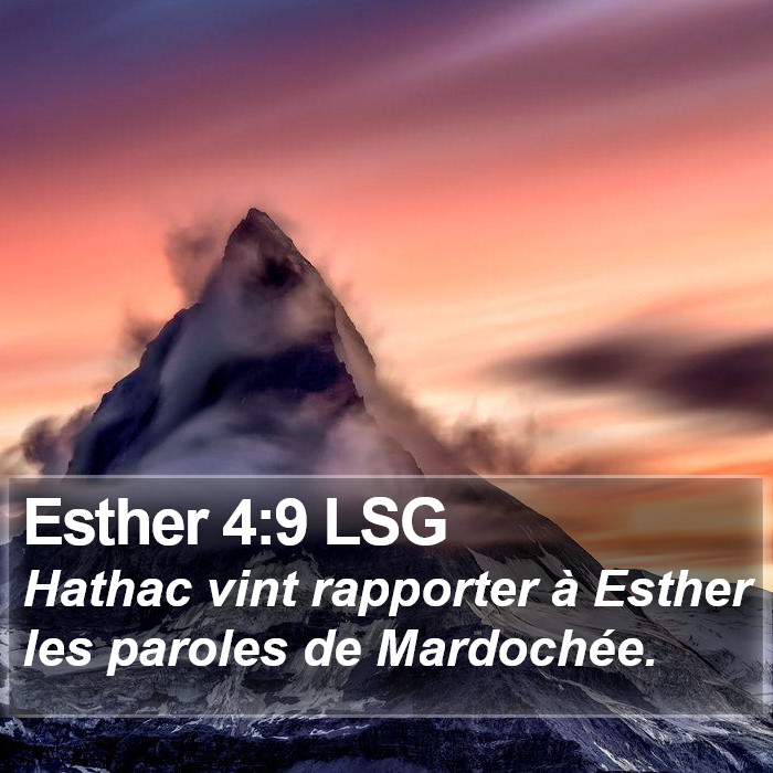 Esther 4:9 LSG Bible Study