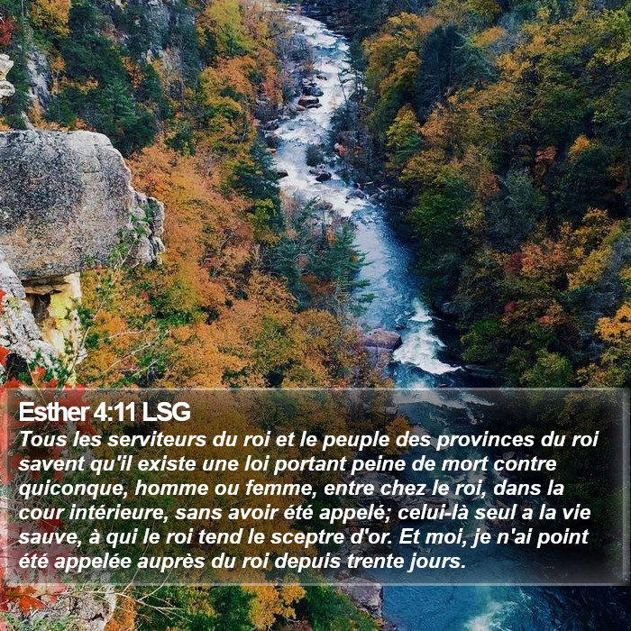 Esther 4:11 LSG Bible Study