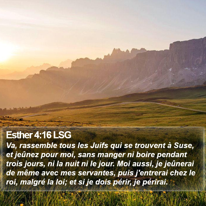Esther 4:16 LSG Bible Study