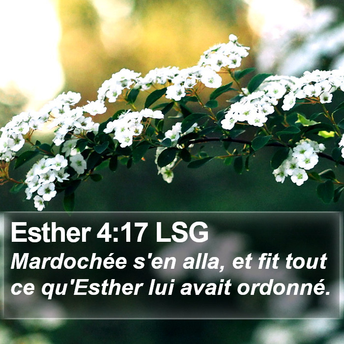 Esther 4:17 LSG Bible Study