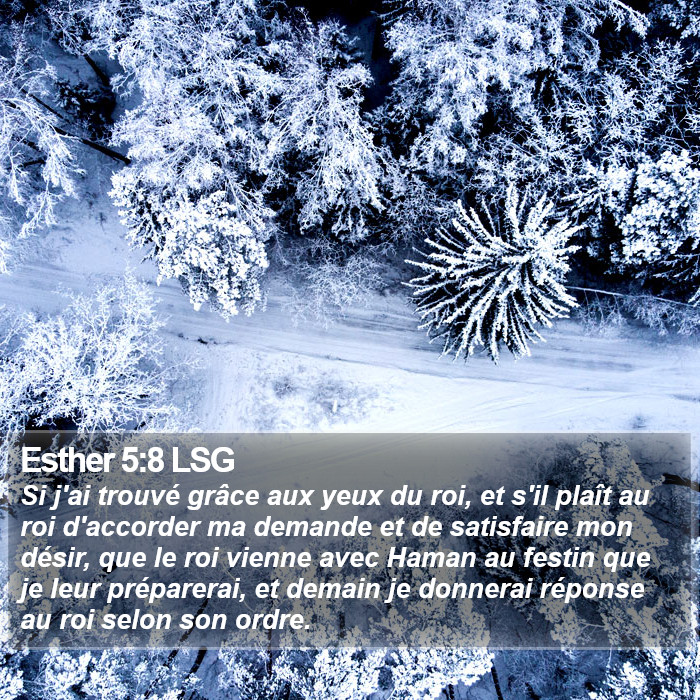 Esther 5:8 LSG Bible Study