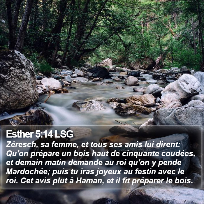 Esther 5:14 LSG Bible Study