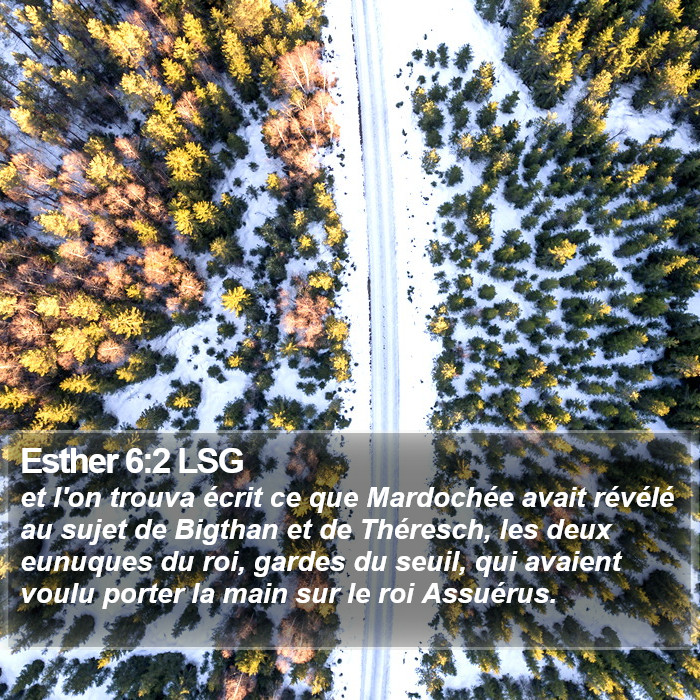 Esther 6:2 LSG Bible Study