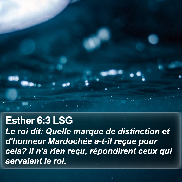 Esther 6:3 LSG Bible Study
