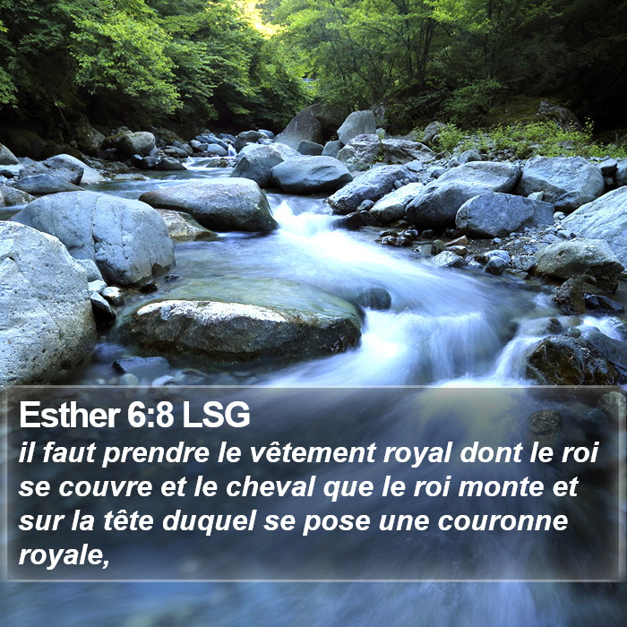 Esther 6:8 LSG Bible Study
