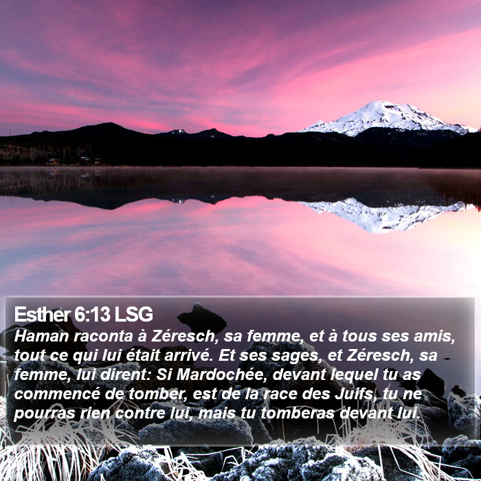 Esther 6:13 LSG Bible Study