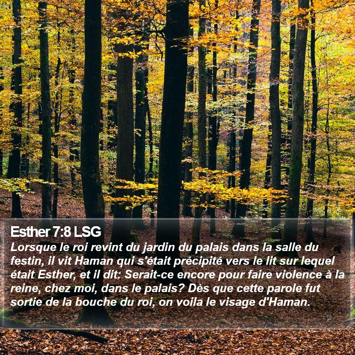 Esther 7:8 LSG Bible Study