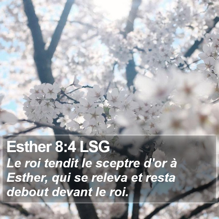 Esther 8:4 LSG Bible Study