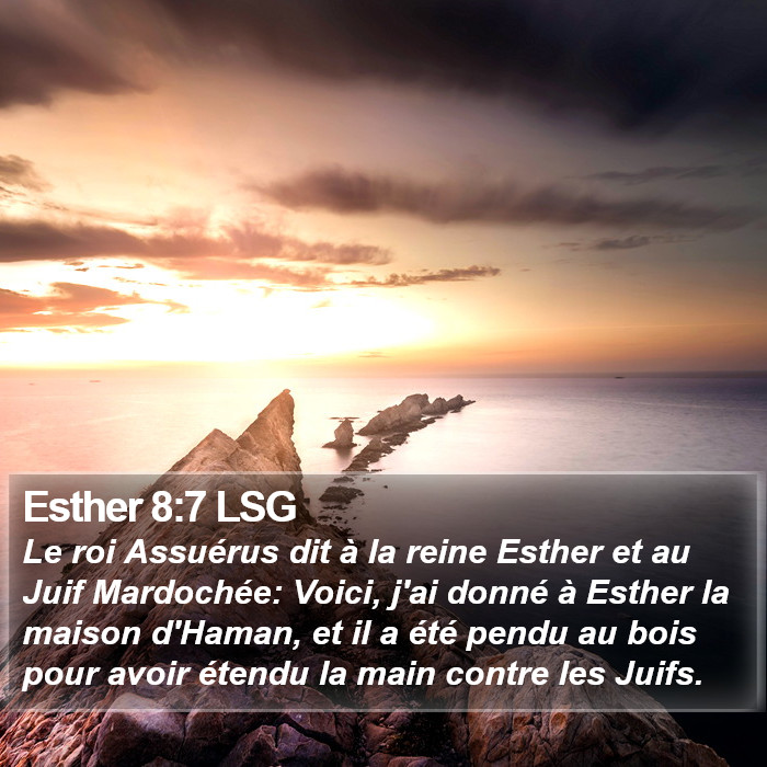 Esther 8:7 LSG Bible Study