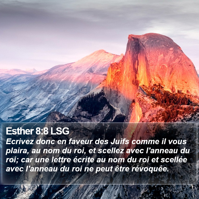 Esther 8:8 LSG Bible Study