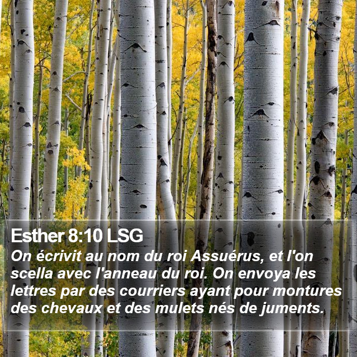 Esther 8:10 LSG Bible Study