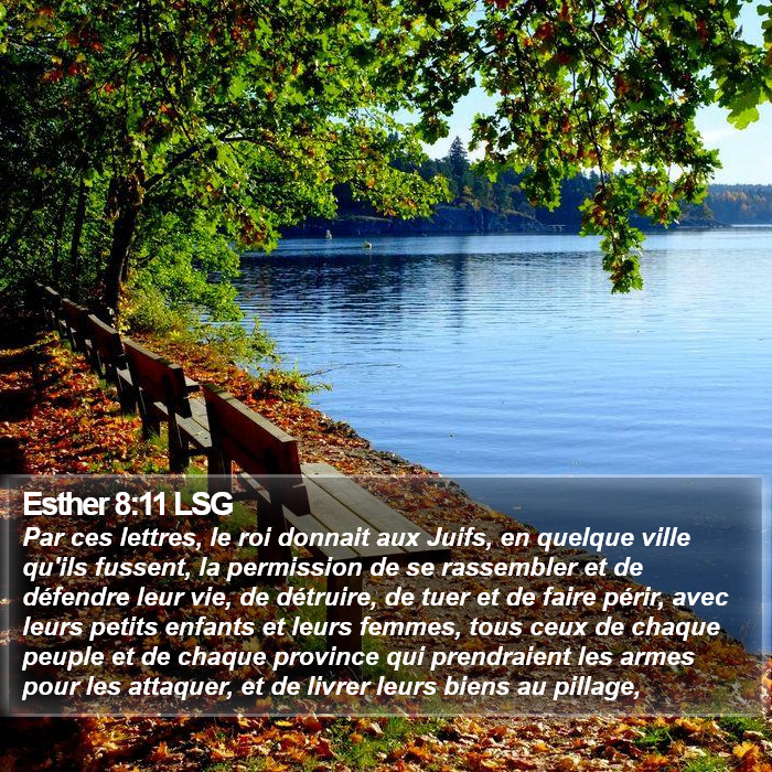 Esther 8:11 LSG Bible Study