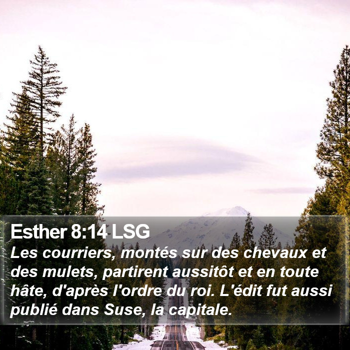 Esther 8:14 LSG Bible Study