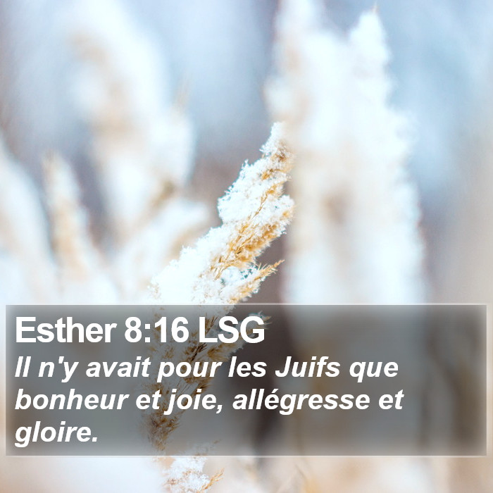 Esther 8:16 LSG Bible Study