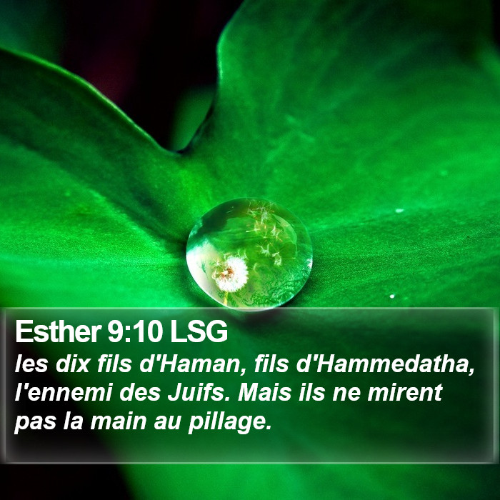 Esther 9:10 LSG Bible Study